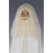 Costumes For All Occasions Ru50943 Gandalf Wig And Beard