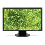Nec Display 22" LED-Backlit Value Widescreen Desktop Monitor w/ Built-in Speakers