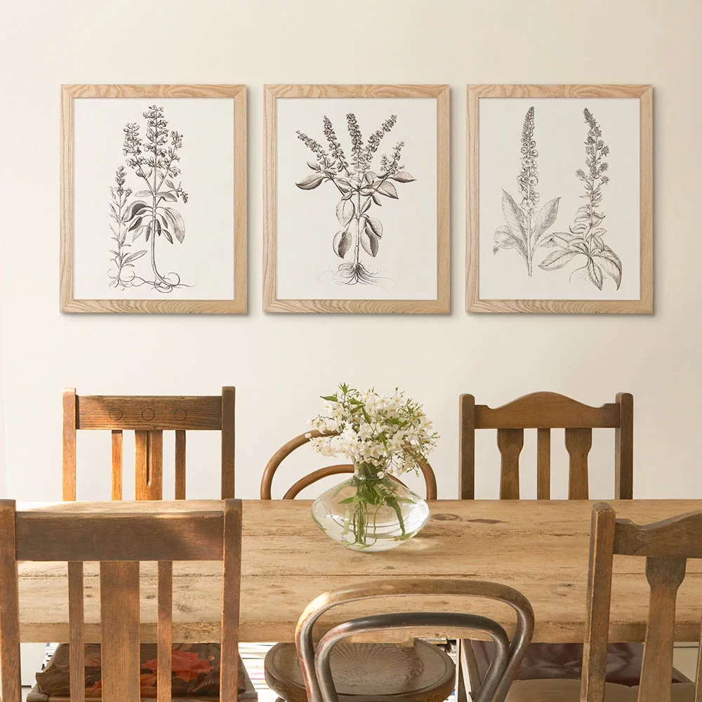 My Texas House - Sepia Besler Botanicals Framed Wall Art Print Set - 11x14