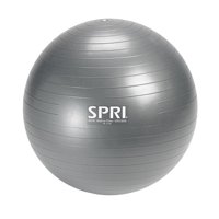 SPRI Weighted Stability Exercise Ball, 65CM