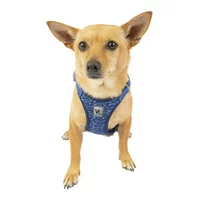 Vibrant Life Flex Knit Dog Harness, Blue