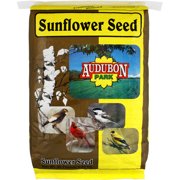 Audubon Park 10427 20 Lb Black Oil Sunflower Seed
