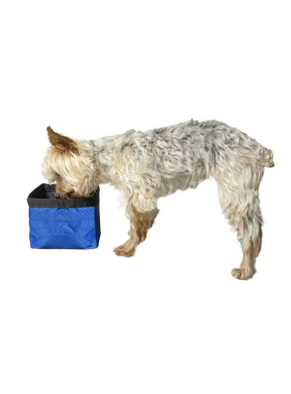 Premier Pet Travel Bowl - Collapsible Dog Bowl with 50 oz. Capacity