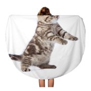 SIDONKU 60 inch Round Beach Towel Blanket Brown Playful Funny Kitten Cat Standing Paws Up Adorable Travel Circle Circular Towels Mat Tapestry Beach Throw