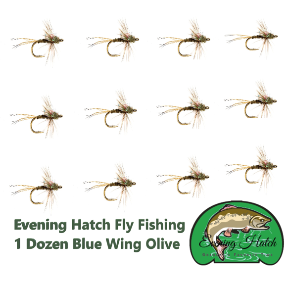 1 Dozen (4 Sizes) Blue Wing Olive Dry Fly Trout Fishing Assortment. Brought to You by Evening Hatch Fly Fishing.