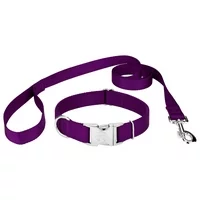Country Brook Petz Vibrant 25 Color Selection - Premium Nylon Dog Collar and Leash