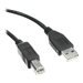 Axiom USB cable - 10 ft