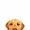 Yellow Labrador Retriever Dog Half Face