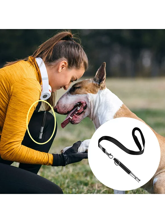 Reactionnx 1 Pack Professional Silent Dog Whistle to Stop Barking, Adjustable Pitch Ultrasonic Recall Training Tool Silent Dog Bark Control Whistle with Free Lanyard