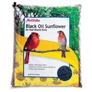 Jrk Seed & Turf Supply B115910 Black Sunflower Bird Seed, 10-Lb.