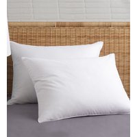 Jumbo 2-pack Bed Pillows White Standard/Queen 20x28"