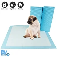 100 Piece Pet Training Pads for Dog and Puppy, Rapid-Dry Technology 22" x 22"