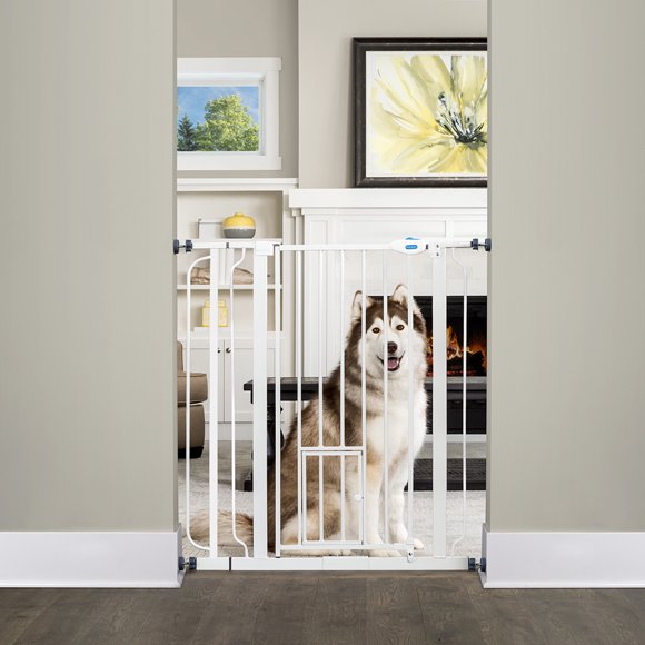 Carlson Pet Products Extra Tall Walk-thru Gate, With Smaller Door, 36" Tall, Extends between 29"-36" Wide