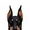 Black Rust Doberman Pinscher Dog
