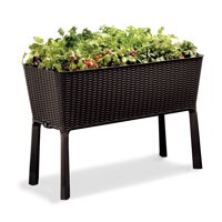 Keter Resin Elevated Garden, All Weather, Self-Watering Plastic Planter, Brown Rattan