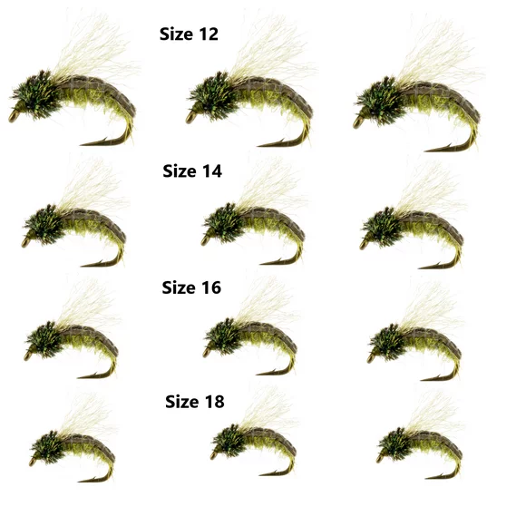 1 Dozen (4 Sizes) Caddis Larva Olive Colored Nymph Pattern. a Great Trout Fishing Assortment for Fly Fishing in Any Stream, River or Lake. Brought to You by Evening Hatch Fly Fishing.