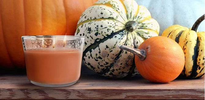 Fall is in the air.��Shop cozy scents of pumpkin & more.