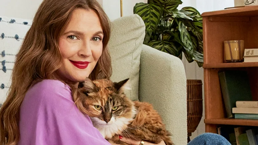 Drew Barrymore sits in a chair smiling, and holding a cat.