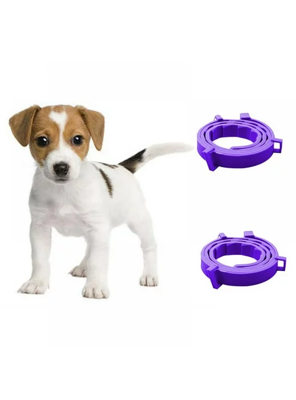 Calming Collar for Dogs A Constant Calm Anywhere You Go Adjustable TPR Neck Straprelieve Anxiety, Remove Restlessness