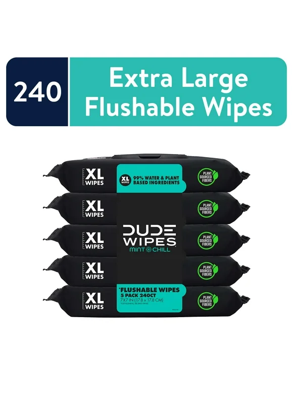DUDE Flushable Wipes, Extra Large Mint Chill Wet Wipes, 48 Count, 5 Pack (240 Total)