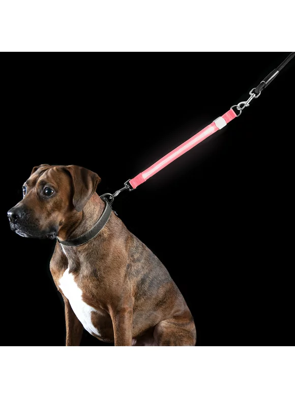 FurHaven Pet Dog Collar | Safety LED Light-Up Leash Extender, Pink